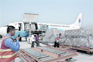 武汉开通国际货运定期航线 东海航空昨首飞